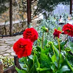 εν αρχή - En Arhi Holiday home