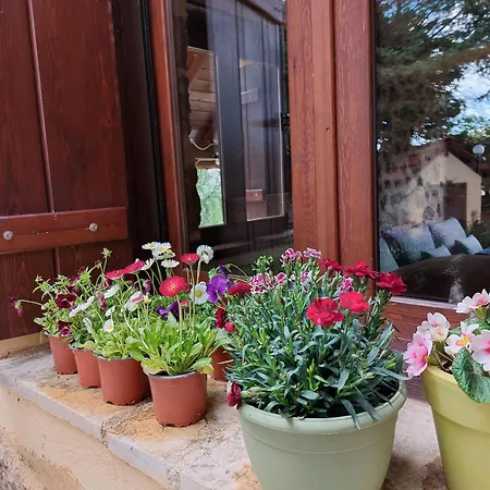 εν αρχή - En Arhi Tatil Evi Ano Trikala