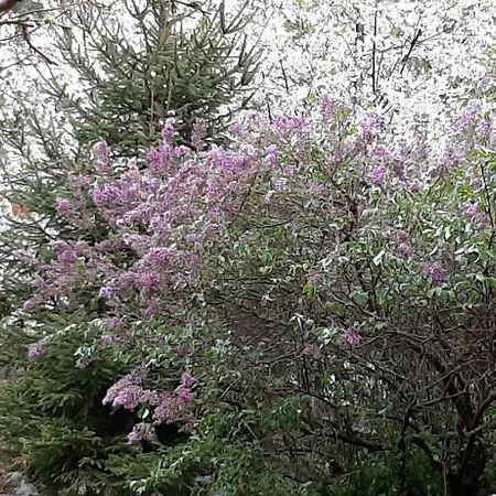 Casa de Férias εν αρχή - En Arhi