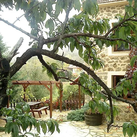 εν αρχή - En Arhi * Ano Trikala