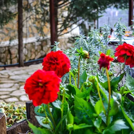 εν αρχή - En Arhi Holiday home
