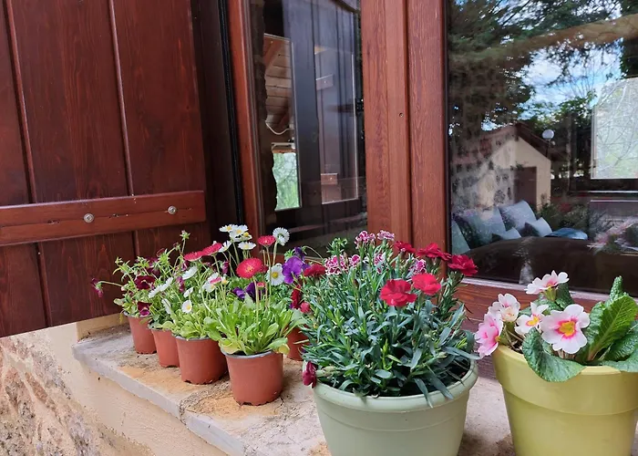 εν αρχή - En Arhi Tatil Evi Ano Trikala
