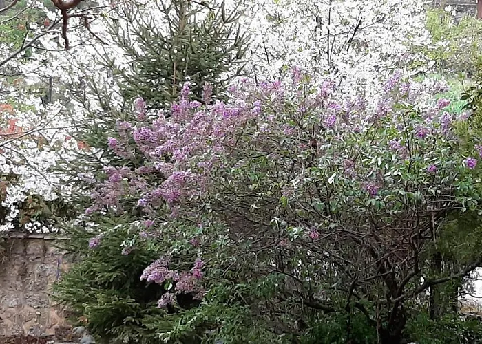 Vakantiehuis εν αρχή - En Arhi