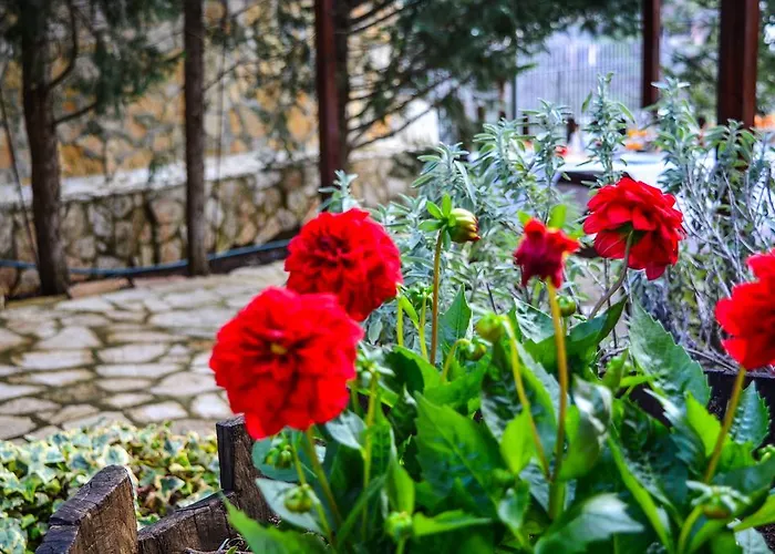 εν αρχή - En Arhi Tatil Evi